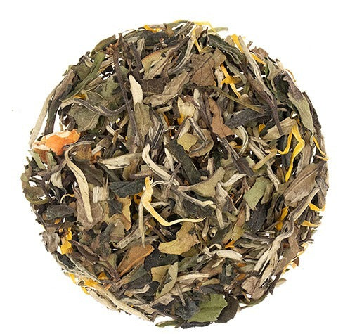 Paladin's Tea